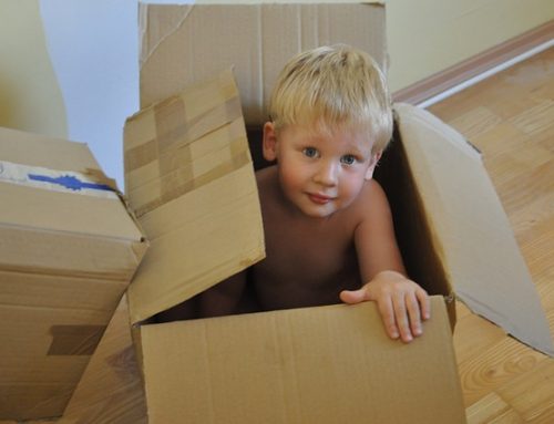 Family Law Relocation Cases